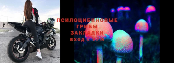 крисы Армянск