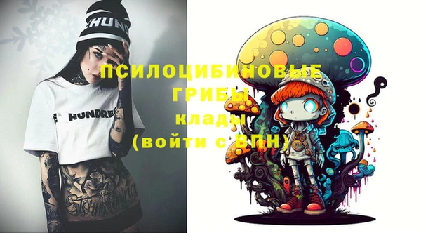 крисы Армянск