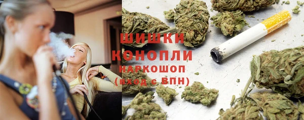 крисы Армянск