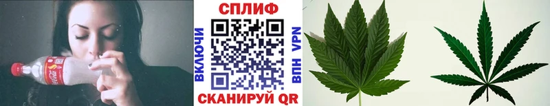 Бошки Шишки марихуана Спасск-Рязанский